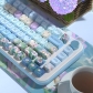 Daisy 104+34 / 54 MDA / Cherry / MCA Profile 4-sided Clear Keycap Set Cherry MX PBT Dye-subbed for Keyboard